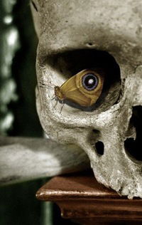 Макс Нефёдов