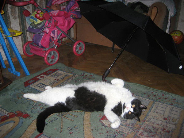 Раиса Кондратьева