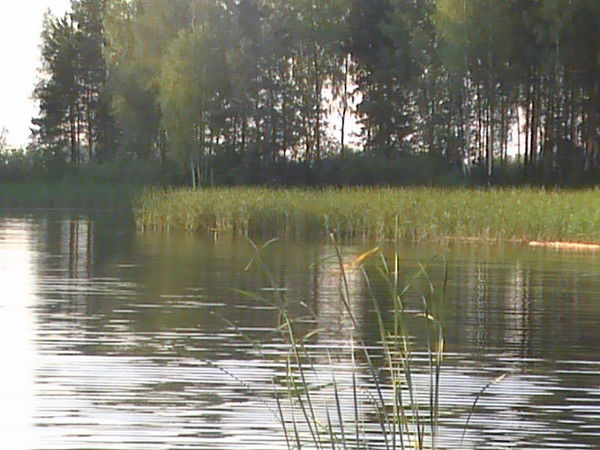 Неизвестно Неизвестно