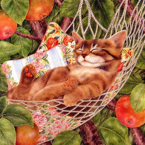 Ольг@ Сергеевн@ ______________