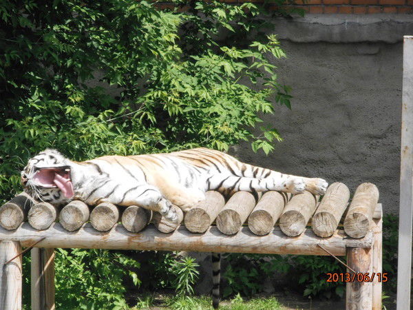 Дмитрий Казаков