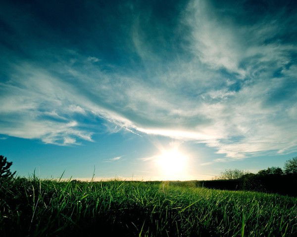 Мухамед Магомедов