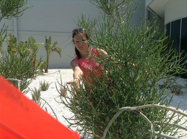 Татьяна Гаврилова