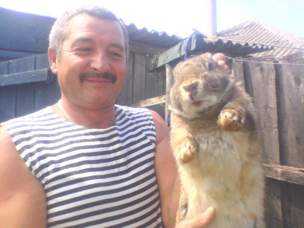 Владимир Миронов