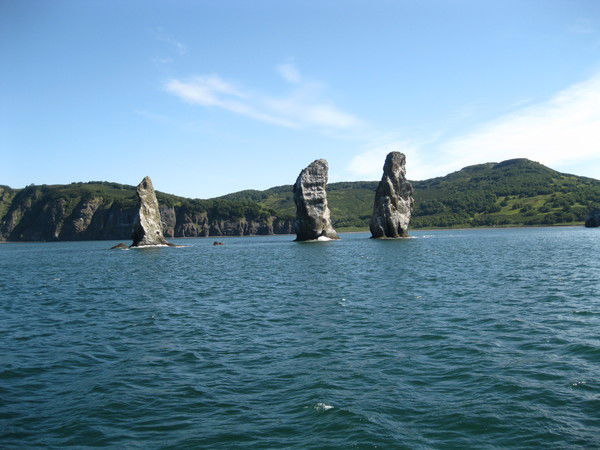 Ольга Горшкова