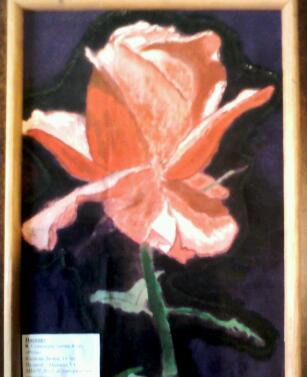 Татьяна Минина