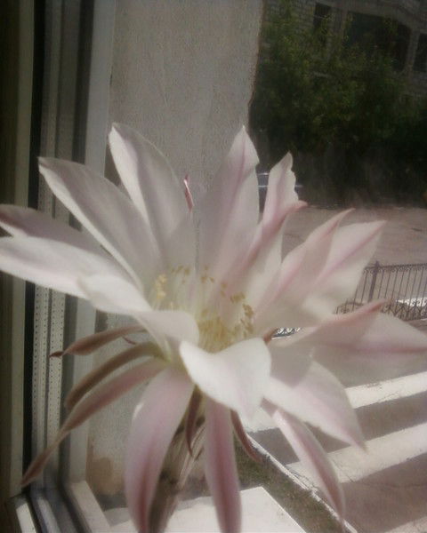 Оксана Быкова