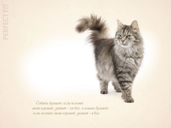 Екатерина Мазаева