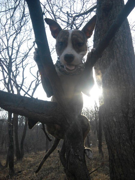 Сергей Усольцев