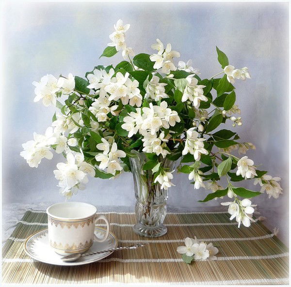 Нанули (Нани) Шанидзе