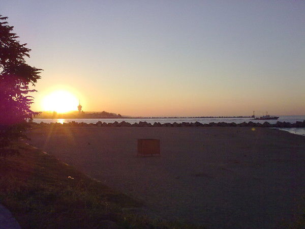 Диана Цицар