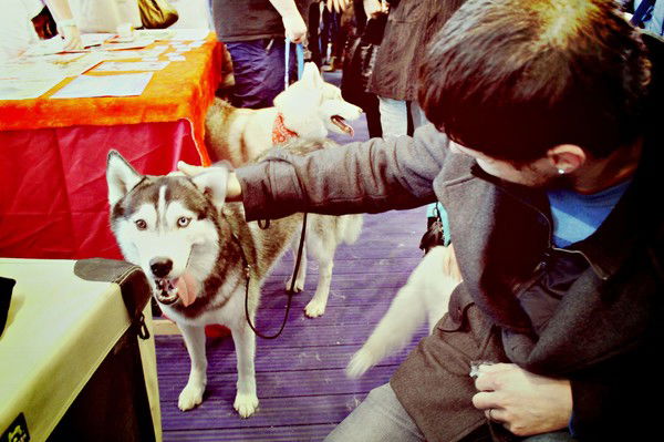 Владимир Давыденко