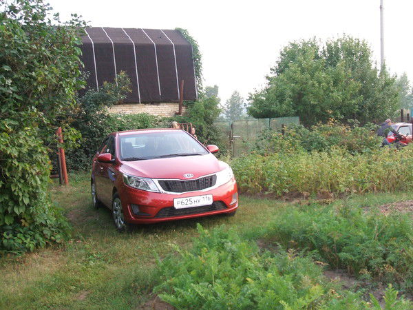 Оксик Кравченко