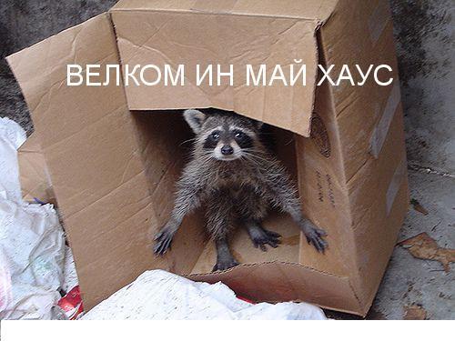 Иван Гречкин