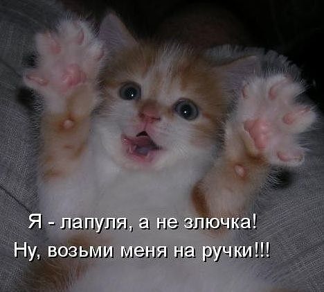 Мария Текутьева