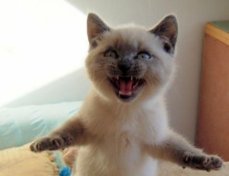 Валера Прохоров