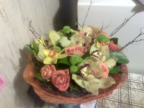 Соколова Жанна