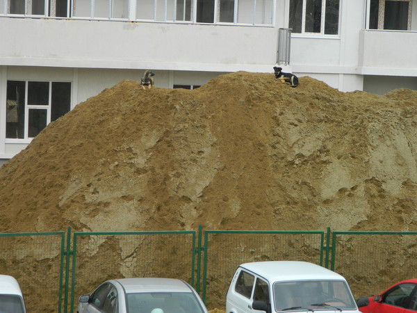 Александр Шкрюм