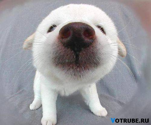 Вадим Шелудков