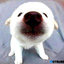 Вадим Шелудков