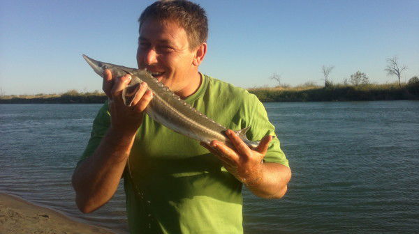 Виталий Стребков