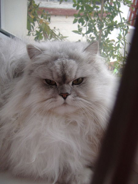 Вера Глазачева