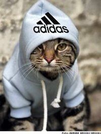 Виталик Гуменный