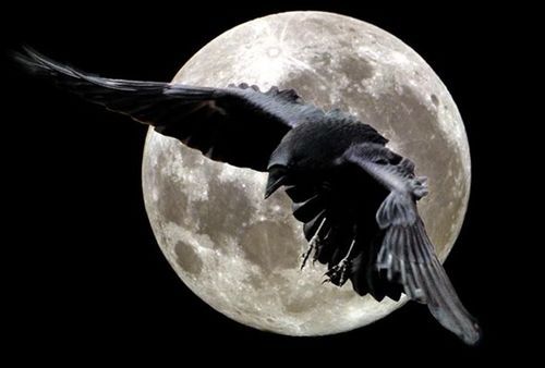 Роман Махин