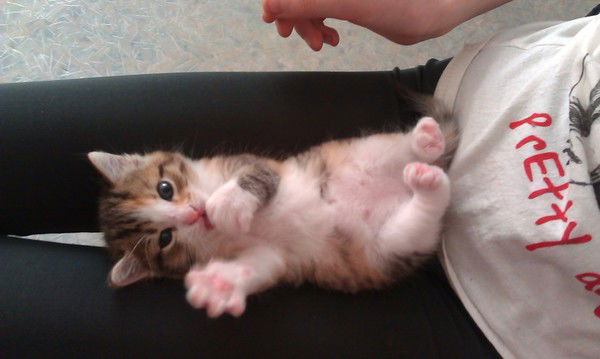 Алена Миллер