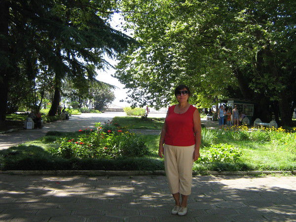 Елена Сельскова