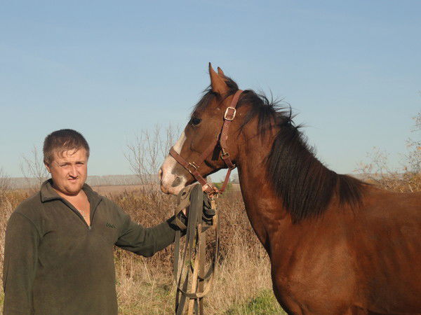 Владимир Гапоненко