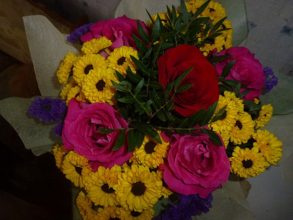 Ирина Плотникова