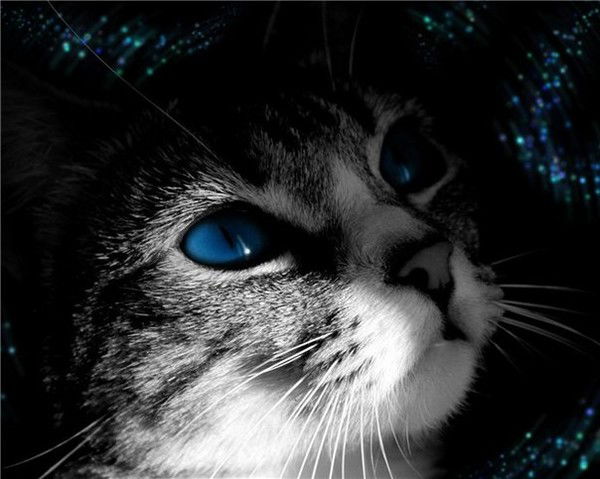 Анна Пирожкова