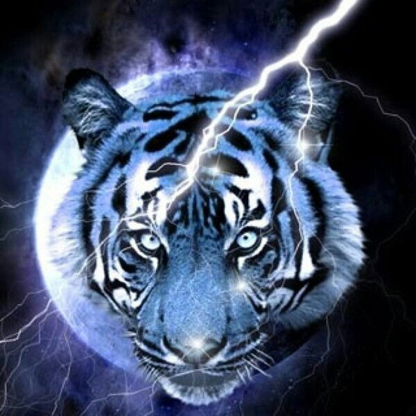 Нурхат Асхат