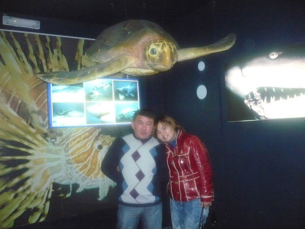 Айзат Орынгалиева