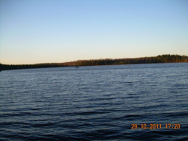 Лариса Соловьева