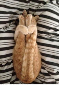 Ольга Кузнецова