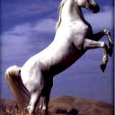 Нурик Нурик