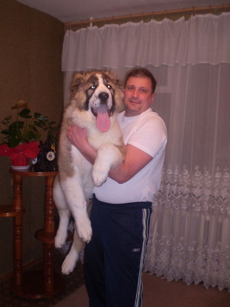 Дмитрий Фадеев