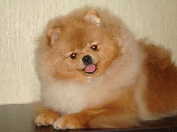 Ольга Крупина