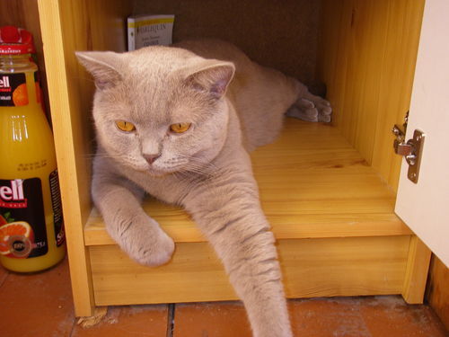 Екатерина Жукова