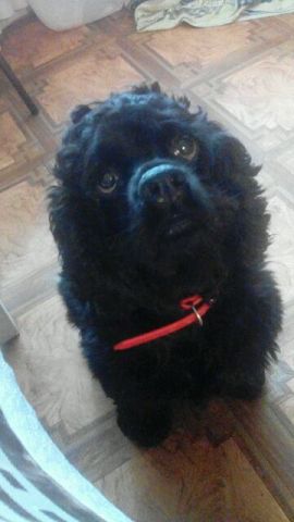 Алина Алинова