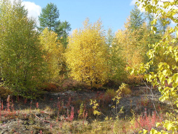 Наталия Влачуга