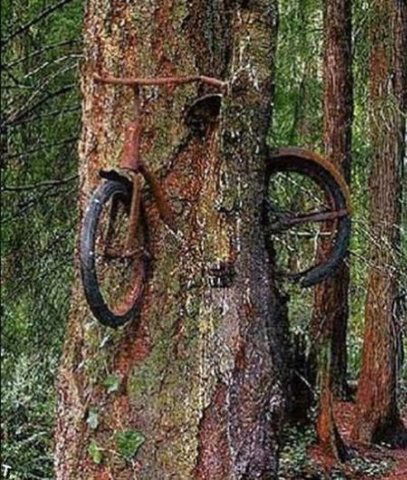 Сергей Лопатин