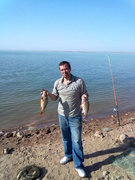 Николай Сушин