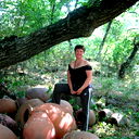 Елена Алейникова