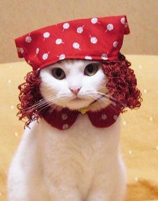 Елена Вуколова