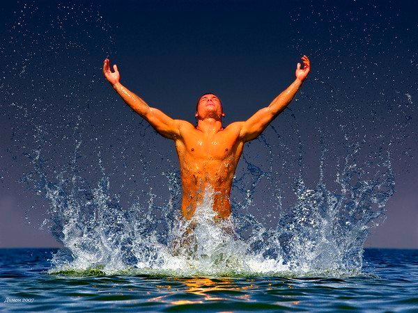 Amadelion Македонский