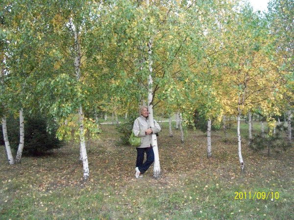 Елена Журавлёва