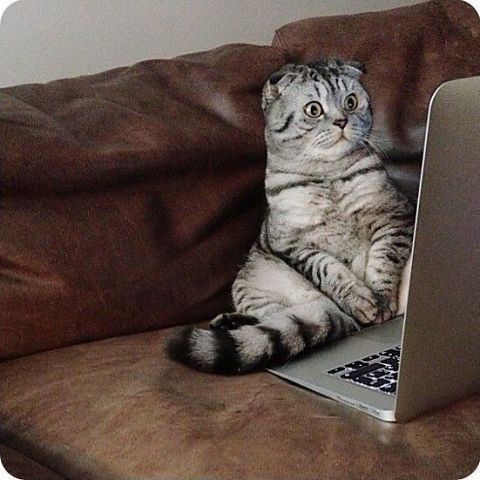 Дмитрий Смирнов